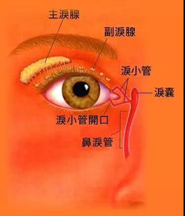 别让冷空气变成泪道病的“导火线”!