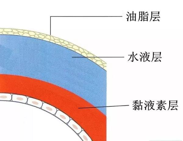 手机刷屏不离手?当心干眼症!